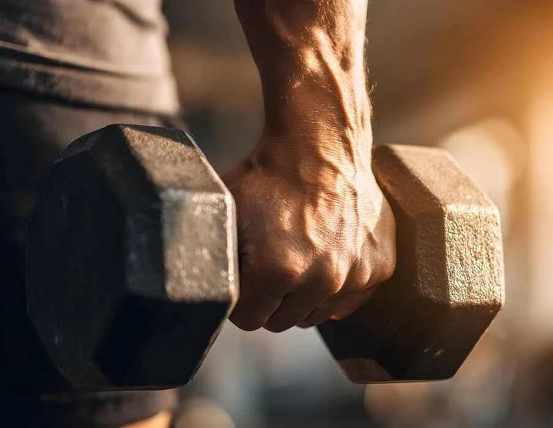 Close-up of a vascular hand gripping a heavy dumbbell, symbolizing AMBROSIA's commitment to hard work over fitness miracles.