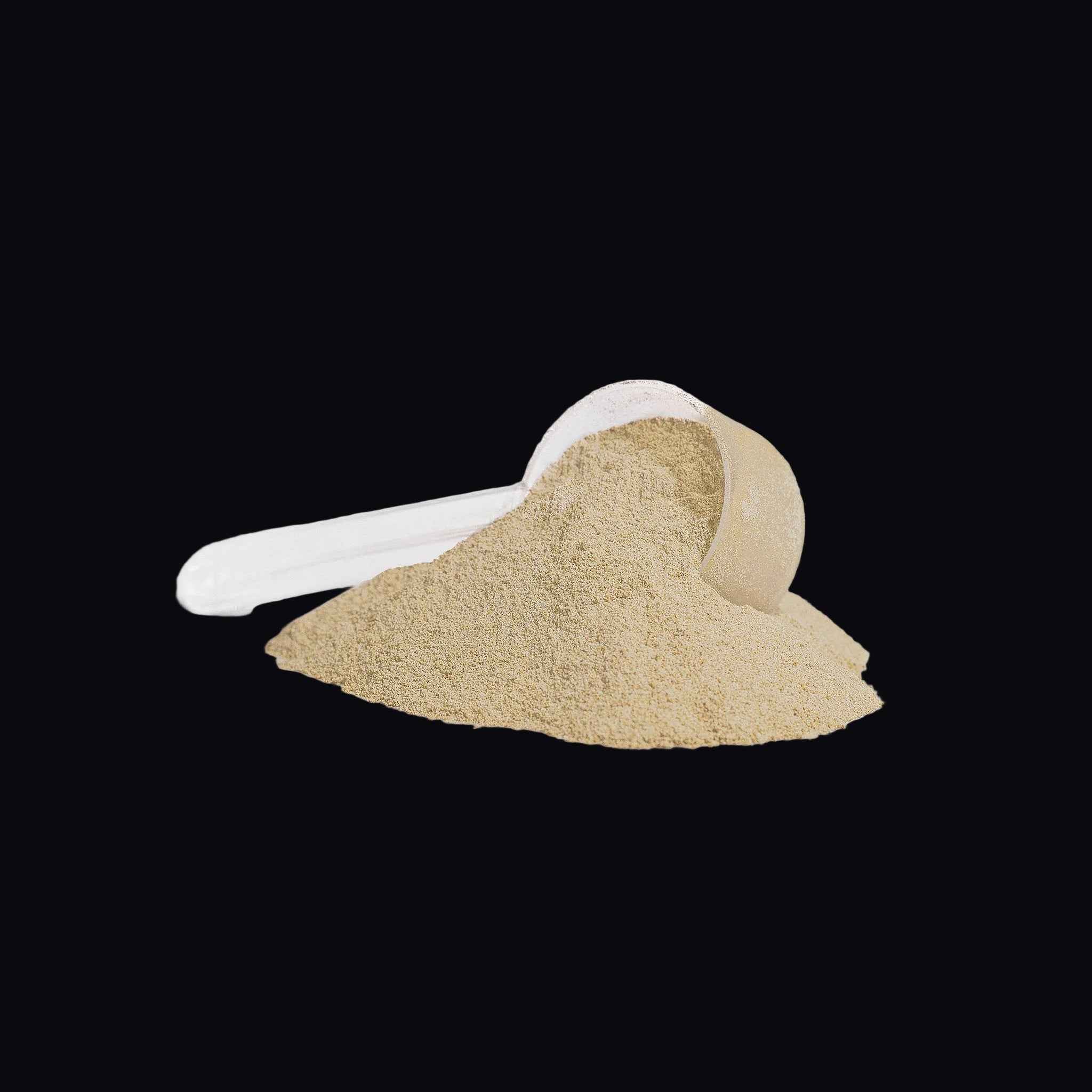 AMBROSIA Whey Protein – Madagascar Vanilla